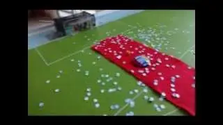 Show de F. Garcia - COSMOS CUP IV