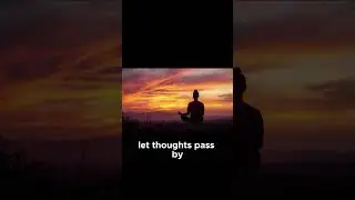 Start or End Your Day Calm | 1 Minute Mind Relaxation for Instant Peace #mindfulness #motivation