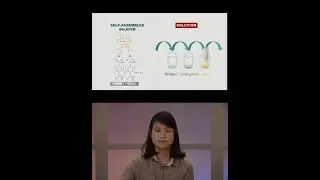 Modulating Electron Transfer Dynamics - Jamie Wang