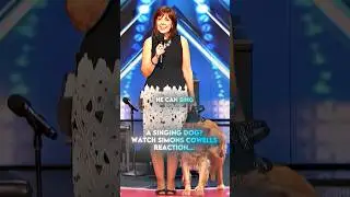 The Singing Dog That SHOCKED Simon Cowell 😳