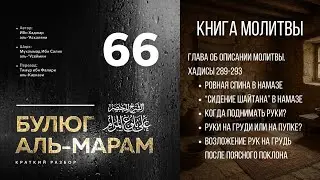 66. Краткий разбор «Булюг аль-марам». Шейх Ибн Усеймин