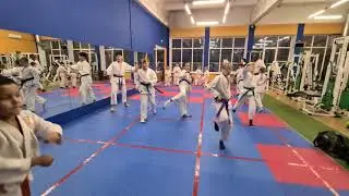 Детские тренировки СУНАО по самообороне и всестилевому каратэ_Entrainements SUNAO pour enfants