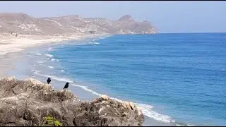 Oman / Mughsali Beach & Al  Marneef Cave