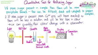 Quantitative test for reducing sugars | Revision for Biology A-level