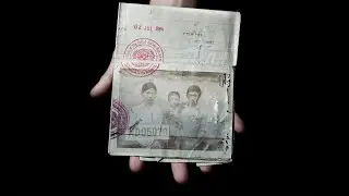 We Belong '21 [Music Video] - Magnetic North & Taiyo Na (feat. Ann One / prod. by Chucky Kim)