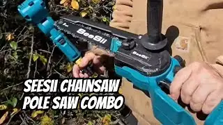 What's the BEST Chainsaw and Pole Saw Combo for Your Money?