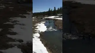 Field Note: Beaver dam analogues to restore degraded public land near Anaconda, Montana