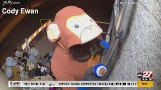 MONKEY BUSINESS: Police seeking person in monkey costume in Franklin County