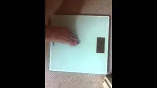 Ozeri Digital Scale