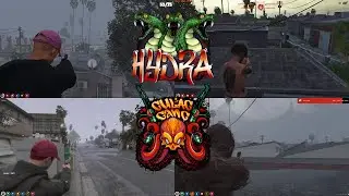 Gulag Gang Vs Hydra Fight On Forum Drive