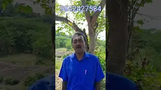 மகரம் ராசி சனிப்பெயர்ச்சி பலன்கள் விசுவாவசு வருடம் 2026