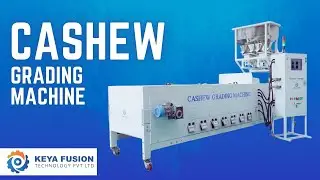 Cashew Grading Machine