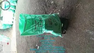 INDIAN FRESH POLLACHI COCONUT EXPORT SSN JAYAM ENTERPRISE WHATSAPP APP NUMBER+91-9942146889