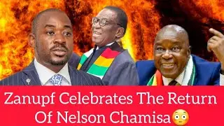 WATCH: Zanupf Celebrates The Return Of Nelson Chamisa😳