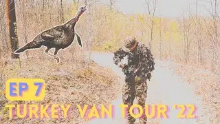 MOUNTAIN TURKEYS in WEST VIRGINIA - Public Land Turkey Hunting
