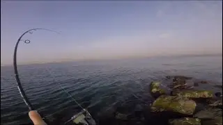 Extreme Ultralight fishing Multiple Strikes