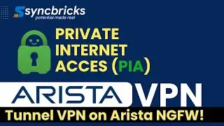 Set Up Private Internet Access with Tunnel VPN on Arista NGFW