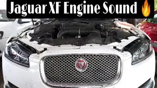 Jaguar XF Engine Sound 🔥#jaguar #xf #jaguarxf #mautotech #short #youtubeshort #trending #enginesoun
