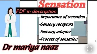 Sensation | process of sensation | psychology | BPT