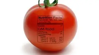 To Label GMOs or To Not Label GMOs: A Debate