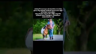 Mini Horse = Service Animal?! 😲🐴 | Dogs Fear Solution under ADA 🇺🇸