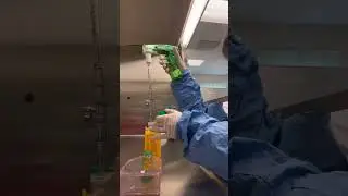 Subculturing Cells for Tissue Culture Lab