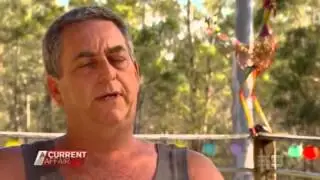 Neighbours war over rowdy rooster