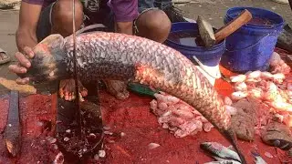 I never seen ll amazin big Rouifish cutting live skills by expert fish cutter in Fishmarket 
