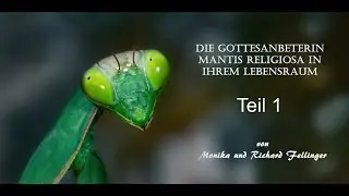 Faszinierende Kannibalen Teil 1