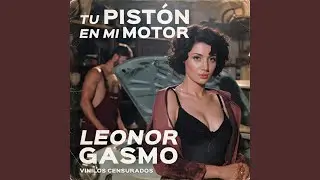 Tu pistón en mi motor