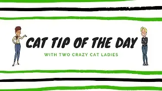 The Importance Of Clean Bedding | Two Crazy Cat Ladies