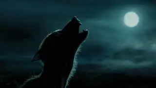 harry potter  ( Piano Cover)