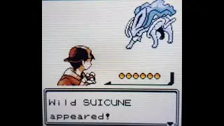 Pokemon Crystal 3DS Virtual Console Un-Ending Suicune Hunt