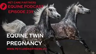 EP 239: Twin Pregnancy in Horses | Risks, Diagnosis & Management Explained 🐴 | Pet Care Partners