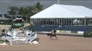 Video of STARLET ridden by LAUREN HAYES from ShowNet!
