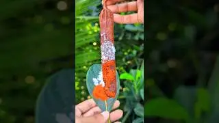 Mouth watering tamarind (Tetul) pickle 🤤 #shorts #trending #food #tamarind #masala