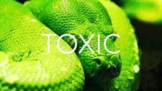 [FREE] Hard Trap Beat - &bdquo;Toxic&ldquo; | Rap Beat 2021