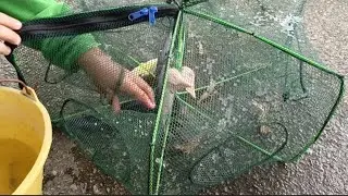 PERGI SPOT LAMA PANCING // PASANG BUBU PAYUNG ADA HASIL