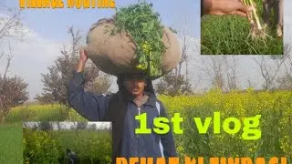 Village routine 🎋My first vlog /Ahmad pendu/zohaib pendu
