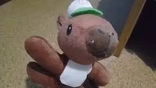 Cactus bailarín de capibara | elichita26