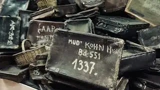 My trip to Auschwitz - Birkenau concentration camps in photos November 2024