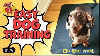 Easy Place Training using a Magic Mat (0176)