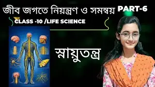 স্নায়ুতন্ত্র | জীবজগতে নিয়ন্ত্রণ ও সমন্বয় Part-6 | Class 10 Life Science Chapter-1 | সহজ ব্যাখ্যা 