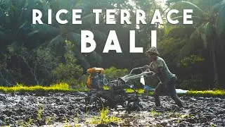 BALI&rsquo;S MOST BEAUTIFUL PLACE - Hidden Rice Field in Ubud