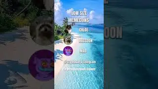 LOW SIZE MEMECOINS #крипто #крипта #трейдер #трейдинг #инвестиции  #инвестор #деньги #мемкоин