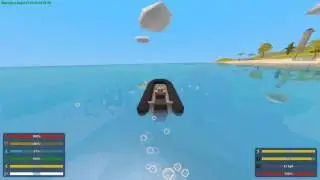 Giant Starfish : Unturned 3.0 Hawaii NPC Quest