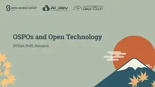 Открытые публичные организации и открытые технологии &mdash; Нитья Рафф, Amazon