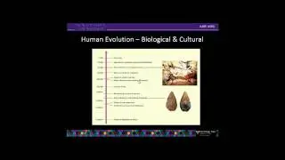 chapter 3  evolution of culture and social intelligence