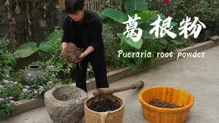 蕨根粉的制作过程复杂，在物资匮乏的年代里是不可多得的食物｜Country boy makes traditional Chinese food from grass roots｜#food ｜龙弟很忙