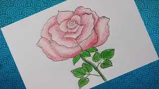 Rose Drawing Easy With Pencil Colour Step by Step | 🌹🌹Rose Flower Drawing 🌹🌹 